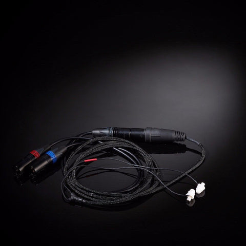 BACCH-BM Pro Upgrade Option